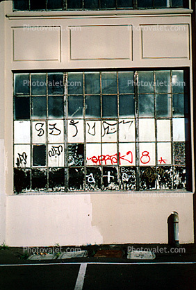 Window Panes, Building, Pier-48
