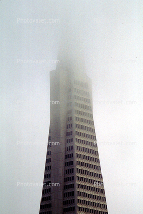 Transamerica Pyramid in the fog