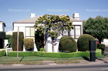 Home, House, Bushes, Garden, Trees, Manicured, Pacific-Heights