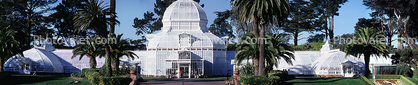 Conservatory Of Flowers, Panorama