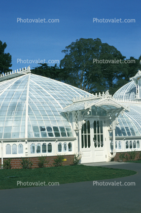 Conservatory of Flowers