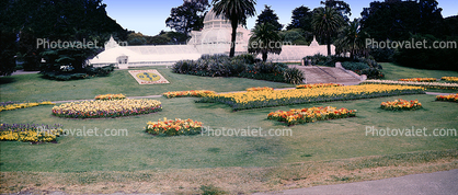 flowers, garden, lawn, trees, Conservatory Of Flowers, Panorama, early 1950s, 1950s