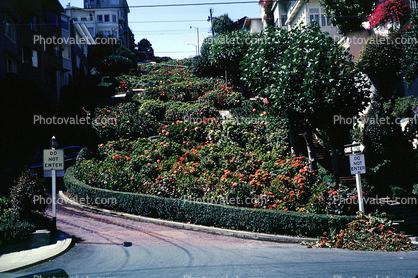 Lombard Street, October 1965, 1960s