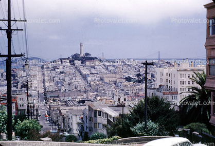 Northbeach, Coit Tower, Lombard Street, May 1959, 1950s
