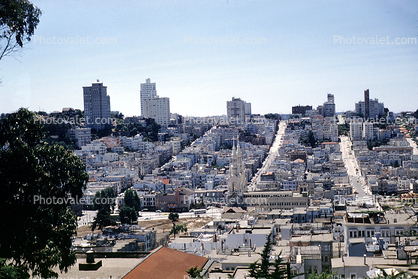 view from Coit Tower, Northbeach, Washington Square, Church, July 1958, 1950s