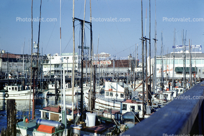 Fishing Boats at Fishermans Wharf, 1950s