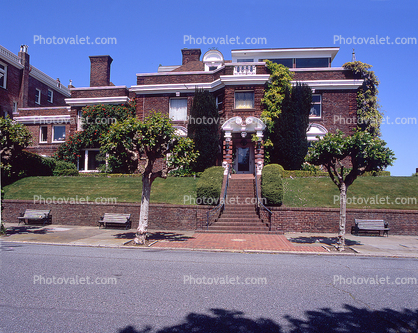 Pacific Heights, Pacific-Heights