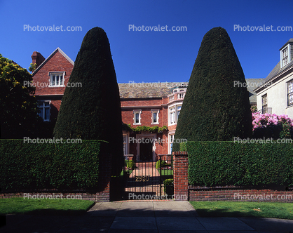 Pacific Heights, Pacific-Heights