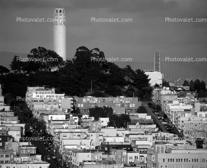 San Francisco Oakland Bay Bridge, Coit Tower
