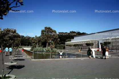 San Francisco Zoo, pond, building, August 1963, 1960s