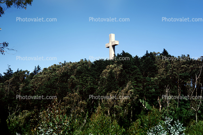 Cross at Mount Davison, trees, August 1963, 1960s