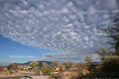 Clouds, Trees and Homes, Albuquerque