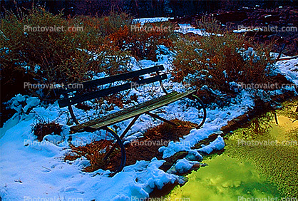 Snow, Ice, Winter, Cold, Bench