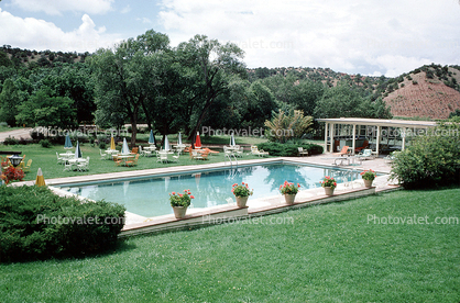 Pool, Lawn, Trees, resort