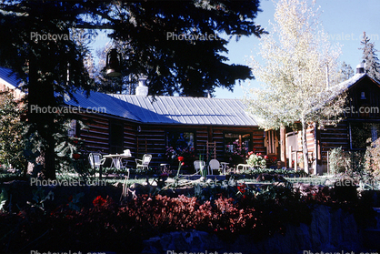 Evergreen Valley, Log Cabin, House