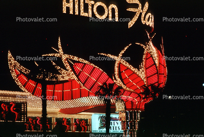 Hilton Flamingo Hotel, Night, Nighttime, Neon Lights