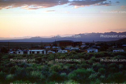 Homes, Houses, Goldfield