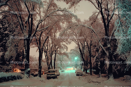 Trees Covered in Snow, snow storm, Nighttime, winter, cars, street