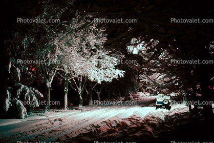 Street, Trees Covered in Snow, snow storm, Nighttime, winter, cars