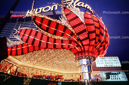Flamingo Hilton, Casino, Night, Nighttime, Neon Lights