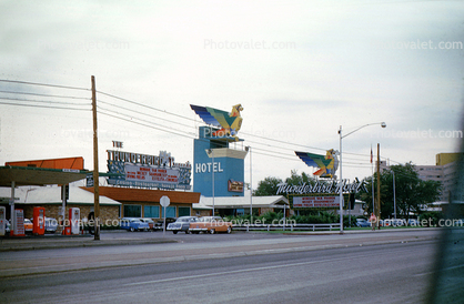 Thunderbird Hotel, Cars, Buildings, 1950s