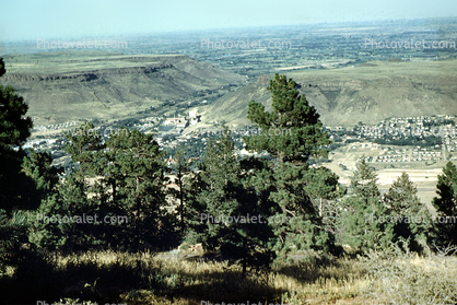 Trees and Valley in Golden Colorado