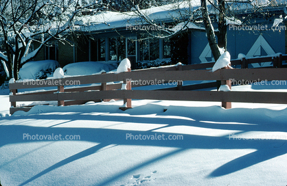 Fence, Cold Winter Trees, snow, ice, Wheat Ridge, Home, House, domestic, building