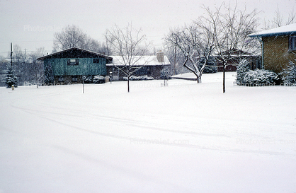 Wheat Ridge, Home, House, domestic, building