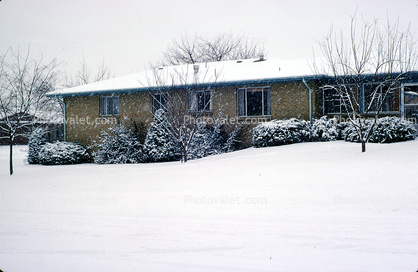 Wheat Ridge, Home, House, domestic, building