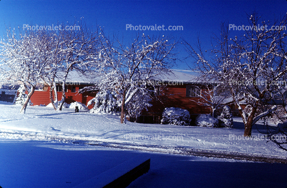 Wheat Ridge, Home, House, domestic, building