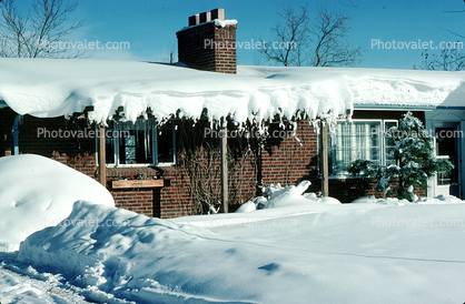 Wheat Ridge, Home, House, domestic, building