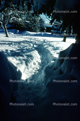 Snow Trench, 