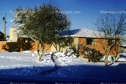 Home, House, domestic, building, 3955 Parkland street, Wheat Ridge