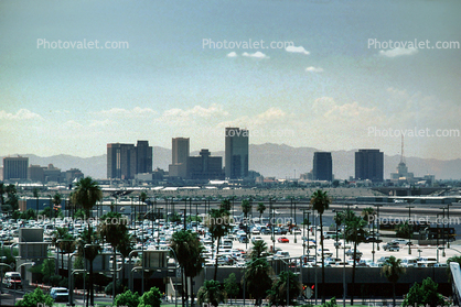 Downtown Skyline, buildings, cityscape, palm trees, cars