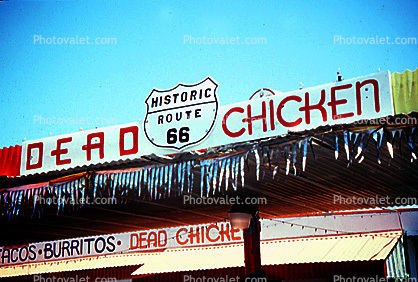 Route-66, Dead Chicken, restaurant