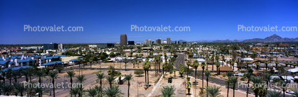 Panorama, Buildings, Palm Trees, Street, homes, skyline, cityscape