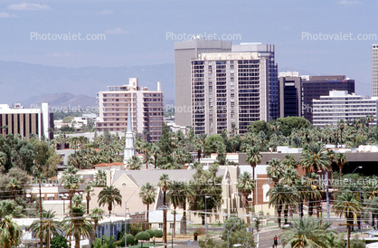 palm trees, downtown , Cityscape, Skyline, Building, Skyscraper, Downtown, Down town, Metropolitan, Metro, Outdoors, Outside, Exterior, Urban, Metropolis