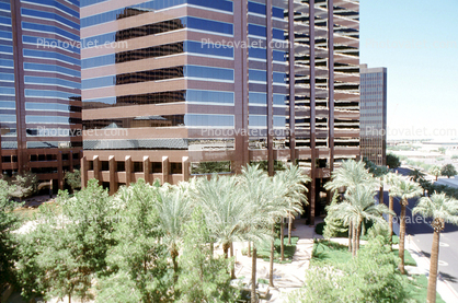 Downtown Highrise building, Palm trees