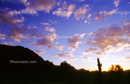 Camelback Mountain