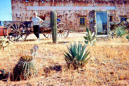 Petes Kitchen and the Nino Chapel, Cactus, Woman, Wagon, building, Tombstone Arizona