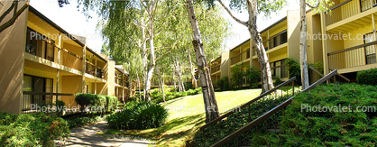 Apartment Complex, Panorama, trees, path, garden, 8 July 2006