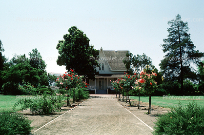 Path to Century House at Centennial Park, Garden, 10 August 1983