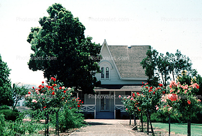 Century House, Centennial Park, Garden, 10 August 1983
