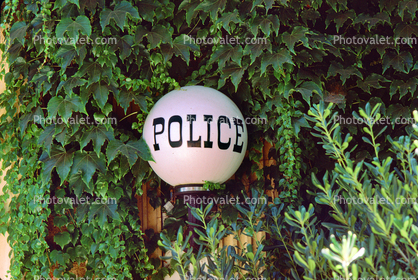 Old Police Station, Light Ball, Ivy, 16 August 1983