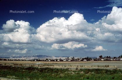 Cumulus Clouds, 1 September 1983
