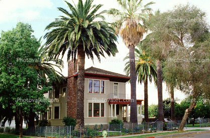 Palm Trees, House, Single Family Dwelling Unit, Home, lawn, residence, building, 31 October 1983