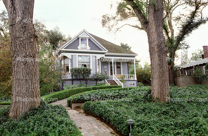 House, Single Family Dwelling Unit, Home, ivy, path, residence, building, 31 October 1983
