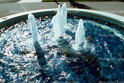 Water Fountain, aquatics, 28 August 1985