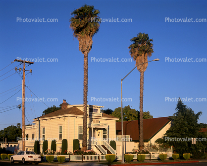 Tall Palm Trees, Mansion, Car, House, Picket Fence, 3 July 2005