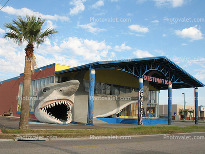 Destination Gift Shop, Shark Mouth, Shark gift shop, Port Aransas